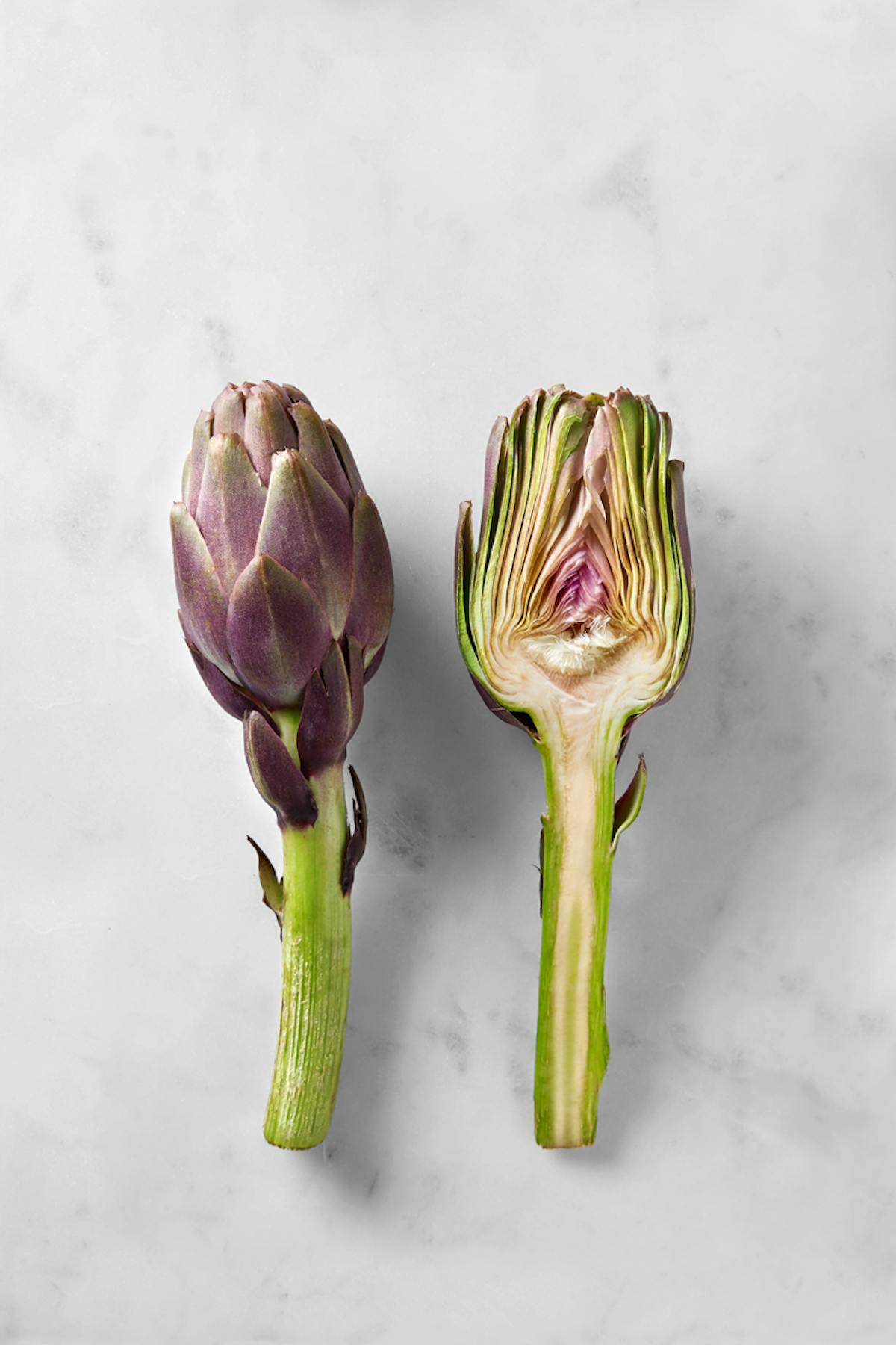 Artichaut : nos 30 meilleures recettes